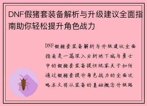 DNF假猪套装备解析与升级建议全面指南助你轻松提升角色战力